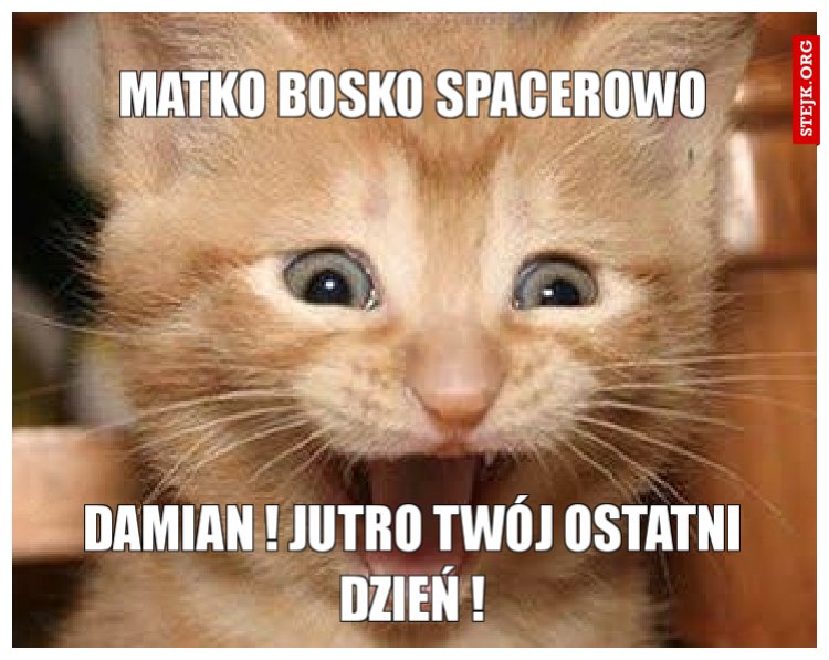 Matko Bosko Spacerowo