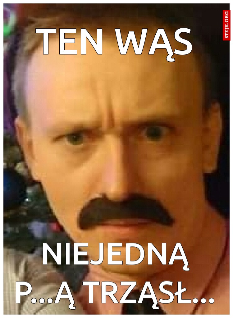 ten wąs
