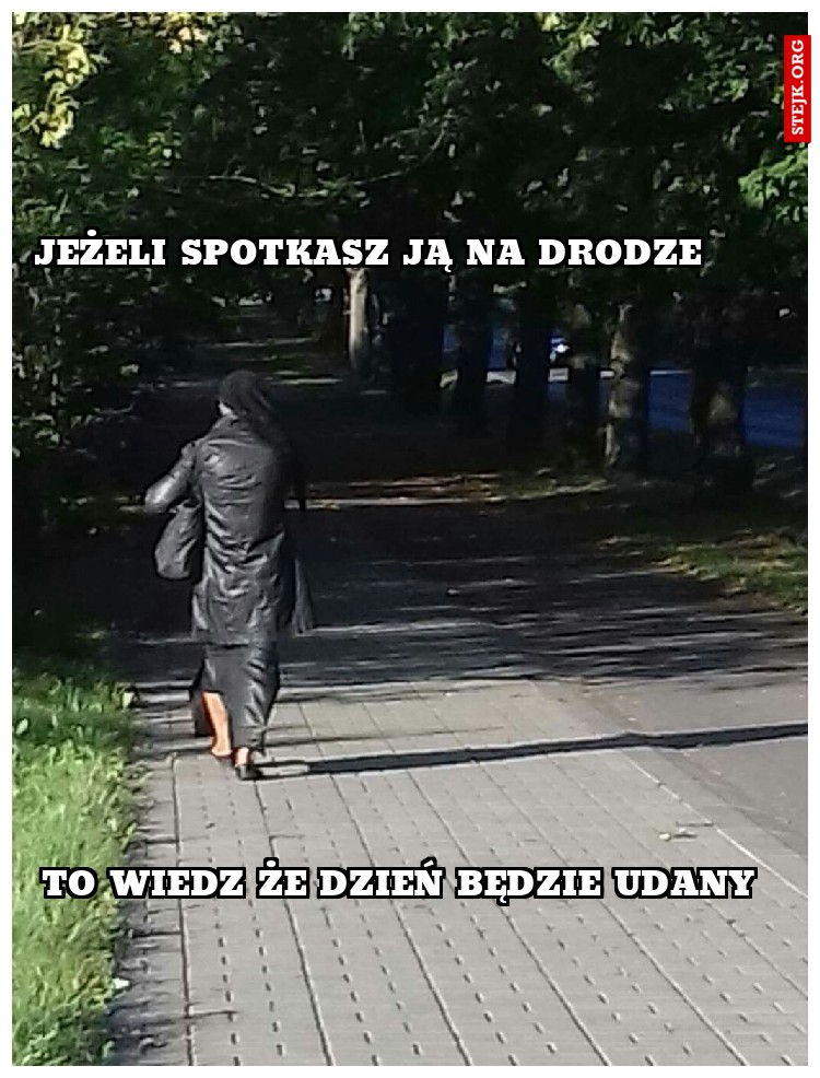 JEŻELI SPOTKASZ JĄ NA DRODZE