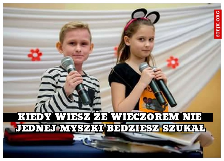 KIedy wiesz że wieczorem nie jednej myszki bedziesz szukał
