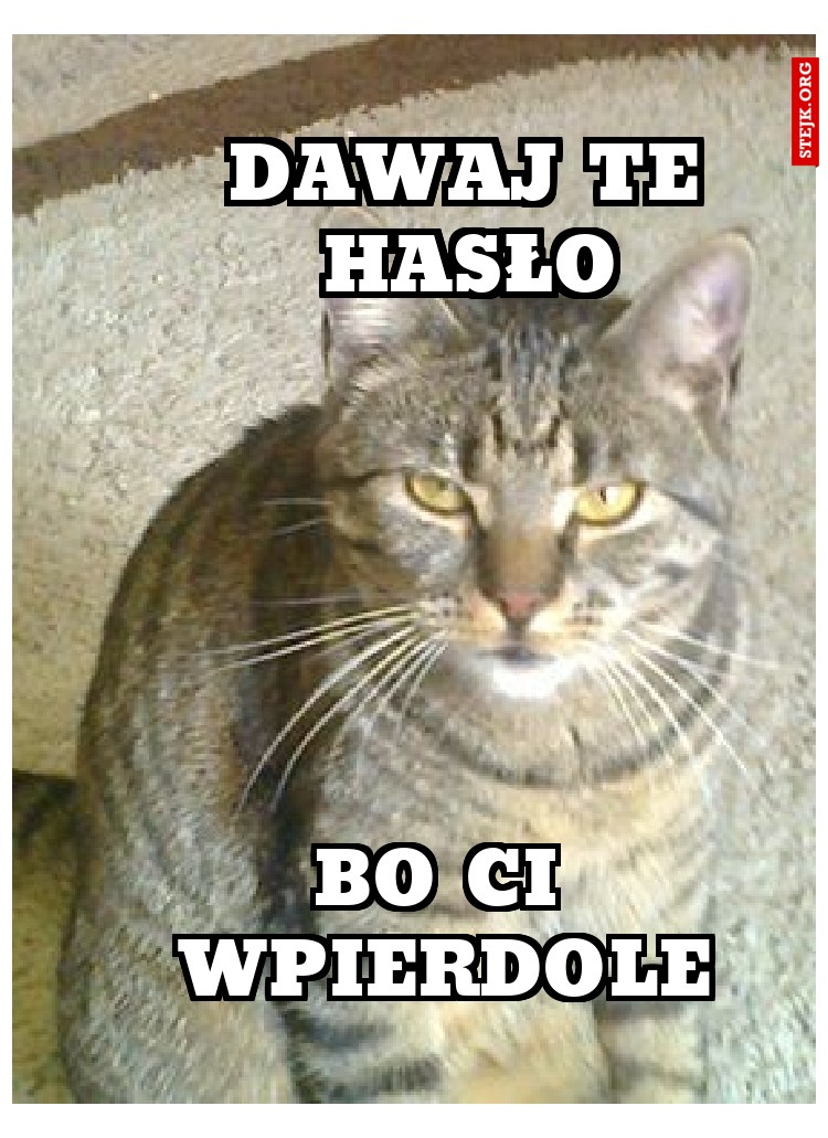 DAWAJ TE HASŁO
