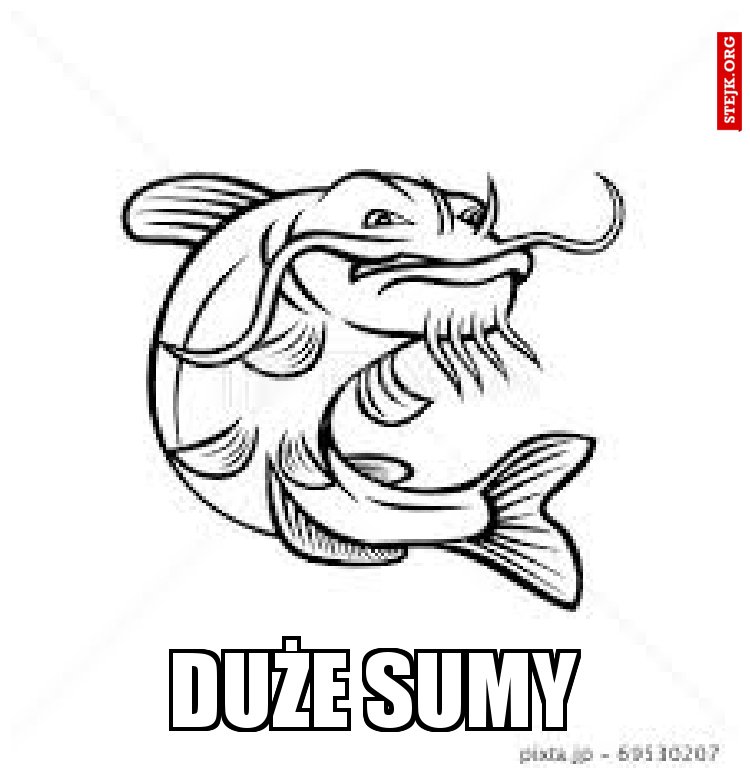 DUŻE SUMY 