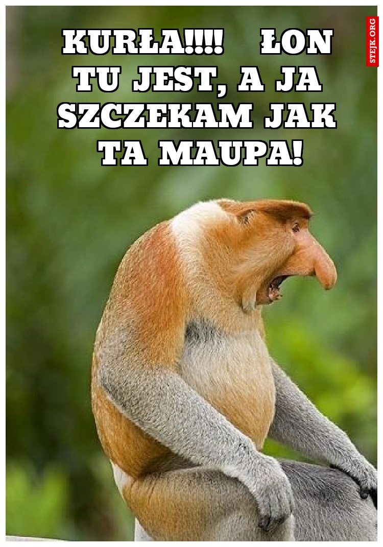 Kurła!!!!   Łon tu jest, a ja szczekam jak ta maupa!