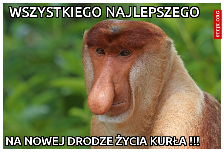 Wszystkiego najlepszego