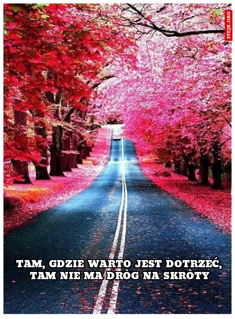TAM, GDZIE WARTO JEST DOTRZEĆ, TAM NIE MA DRÒG NA SKRÒTY