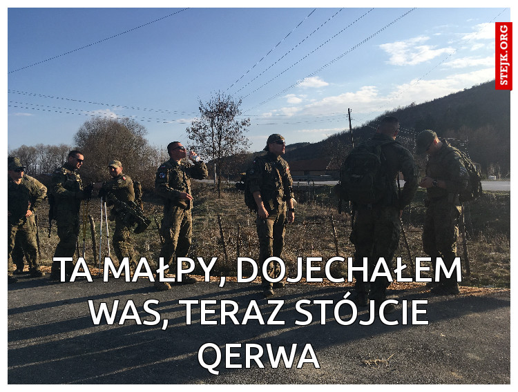 Ta małpy, dojechałem was, teraz stójcie qerwa