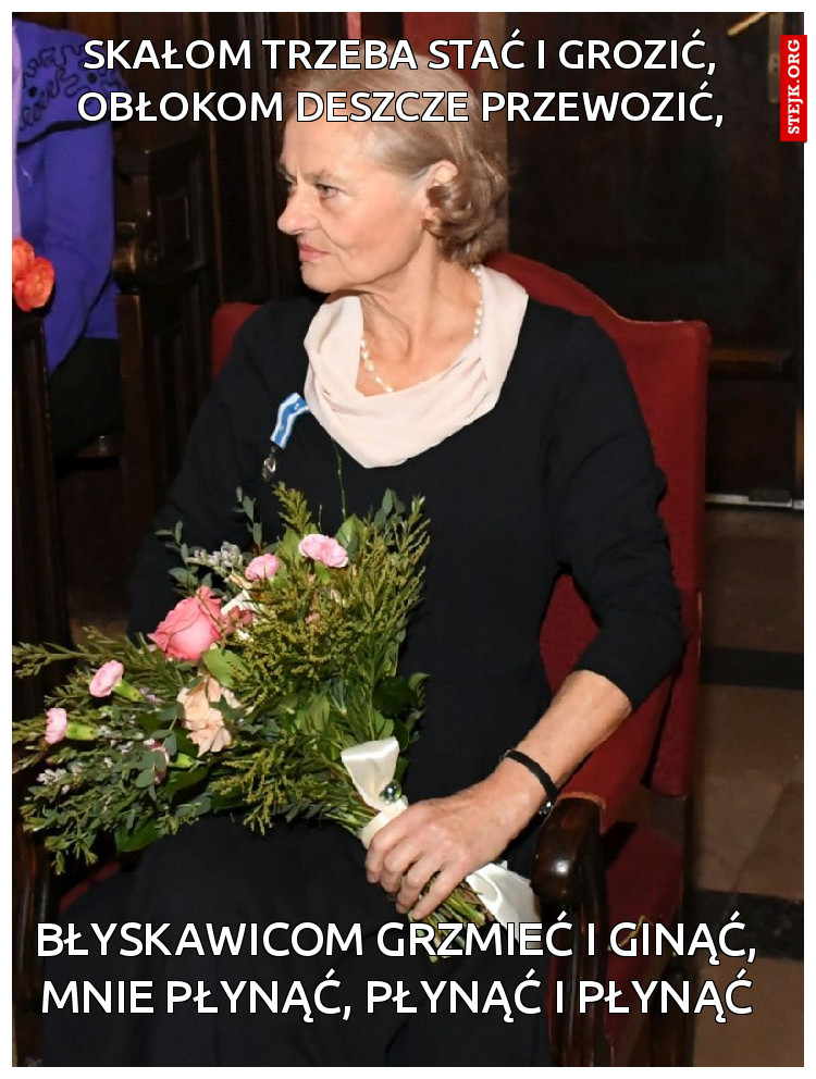 Skałom trzeba stać i grozić, Obłokom deszcze przewozić,