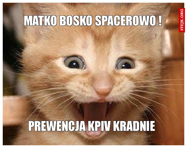 Matko bosko spacerowo !