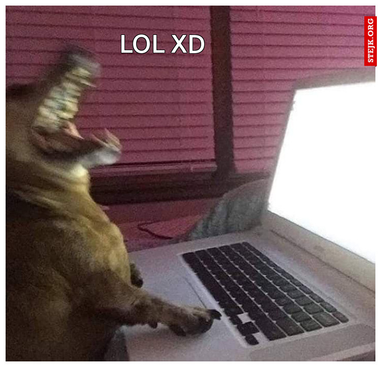 Lol xd