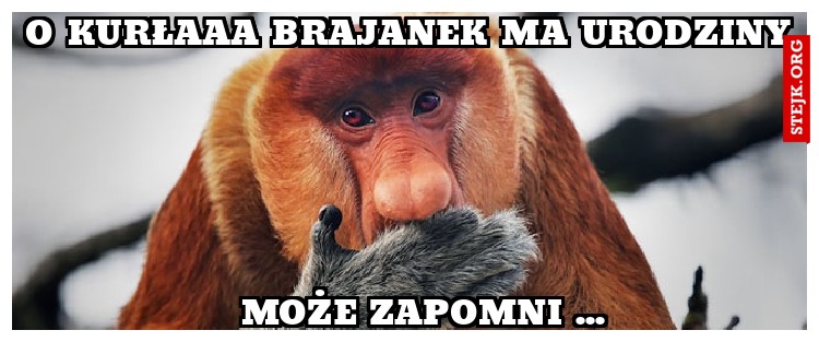 O Kurłaaa brajanek ma urodziny