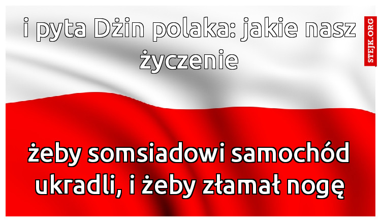 i pyta Dżin polaka: jakie nasz życzenie