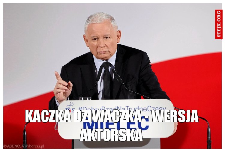 Kaczka dziwaczka - wersja aktorska
