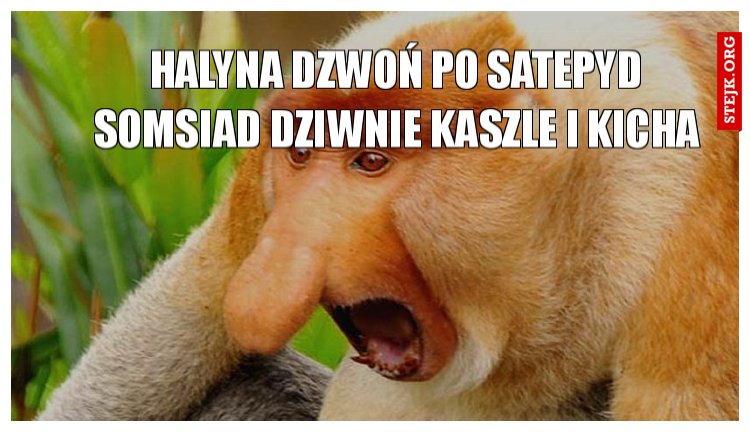 Halyna dzwoń po satepyd somsiad dziwnie kaszle i kicha