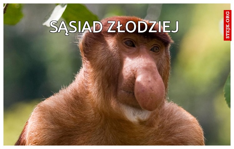 Sąsiad złodziej 