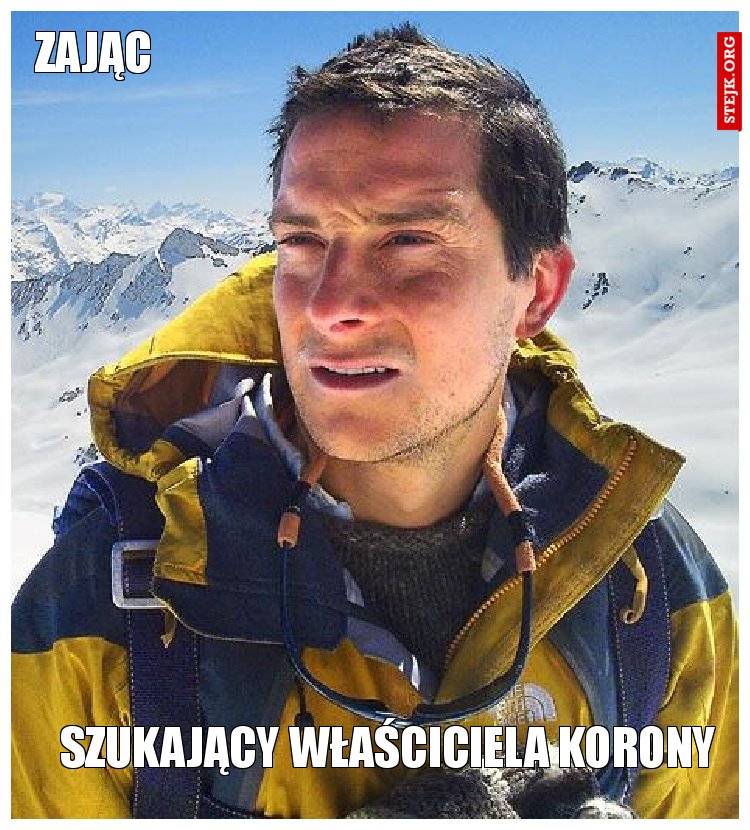 ZAJĄC 