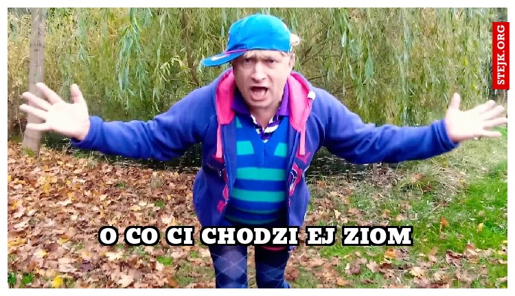 o co ci chodzi ej ziom