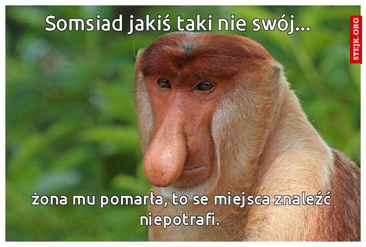 Somsiad jakiś taki nie swój... 