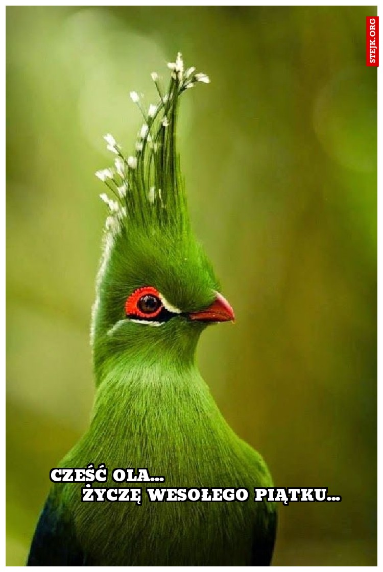 cześć ola...                                  życzę wesołego piątku...