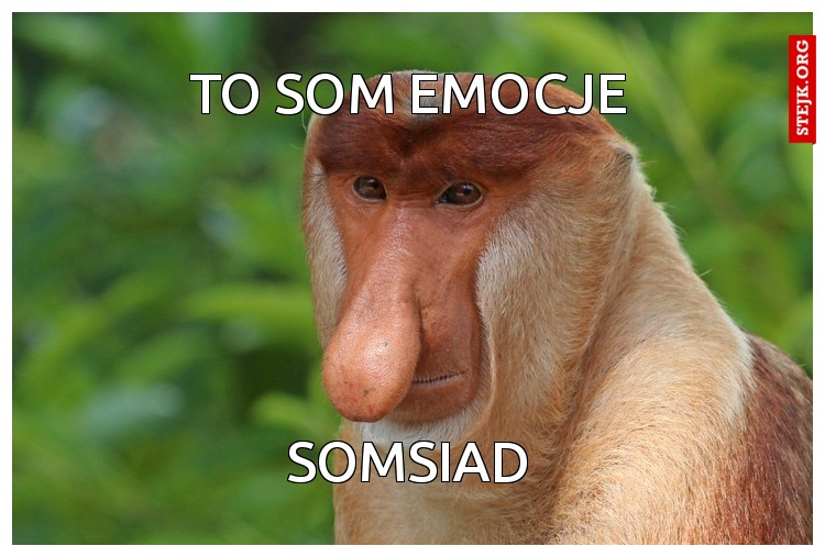 TO SOM EMOCJE