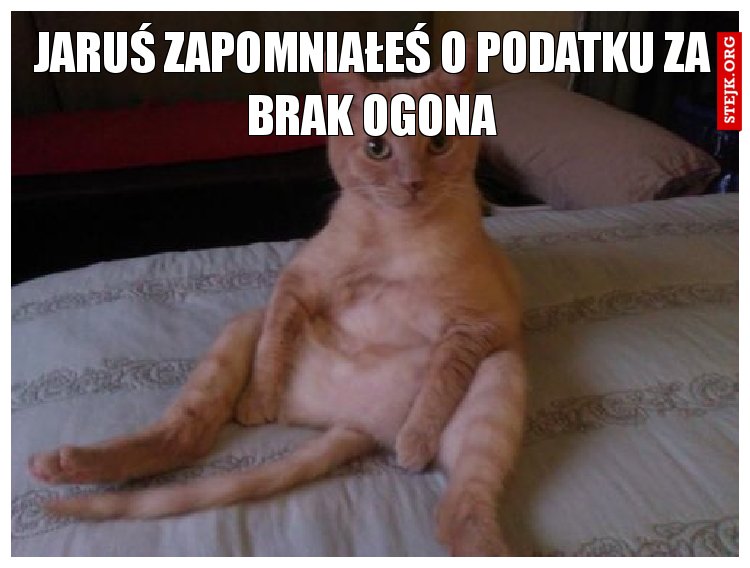 Jaruś zapomniałeś o podatku za brak ogona