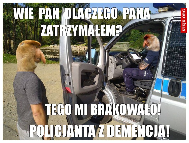 wie  pan  dlaczego  pana zatrzymałem?