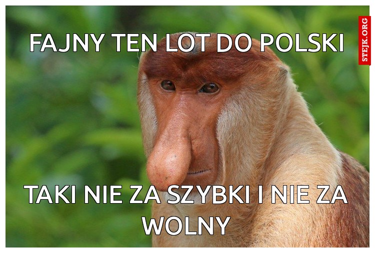 Fajny ten lot do polski