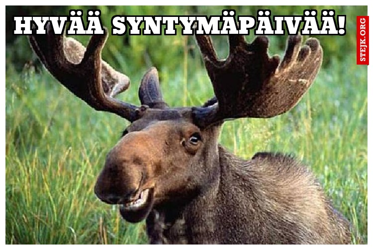 Hyvää syntymäpäivää!