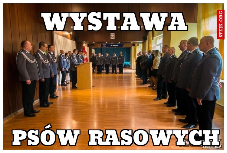 wystawa