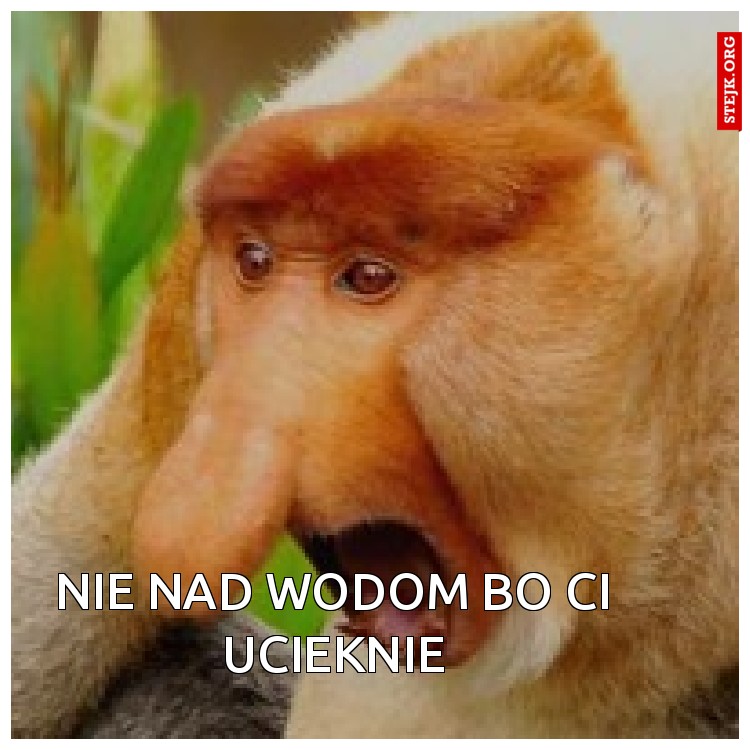Nie nad wodom bo ci ucieknie