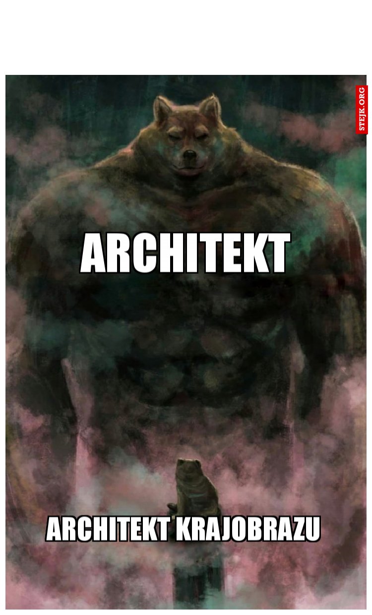 architekt