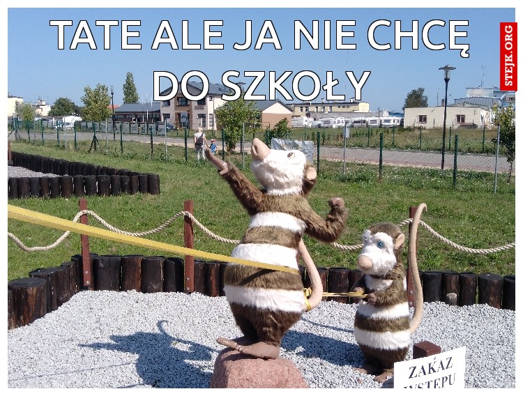 TATE ALE JA NIE CHCĘ DO SZKOŁY