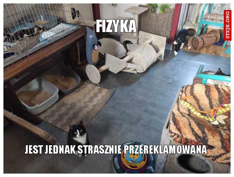 fizyka