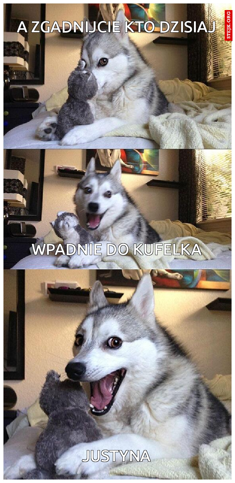 A zgadnijcie kto dzisiaj