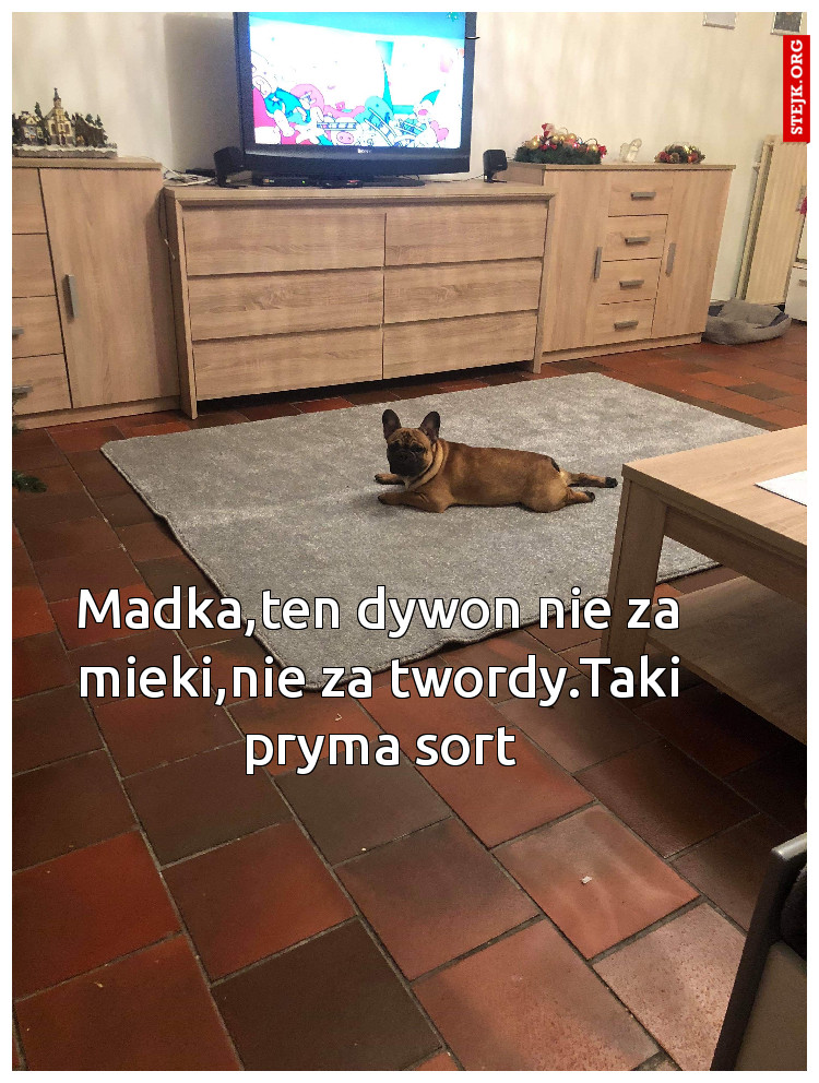 Madka,ten dywon nie za mieki,nie za twordy.Taki pryma sort