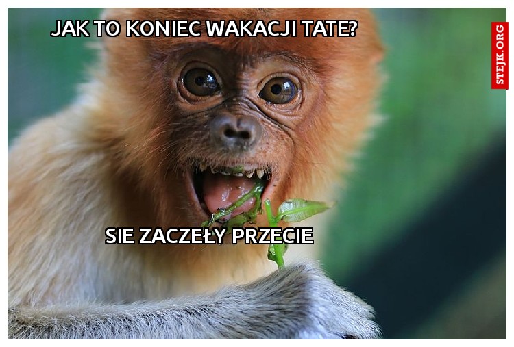 JAK TO KONIEC WAKACJI TATE?
