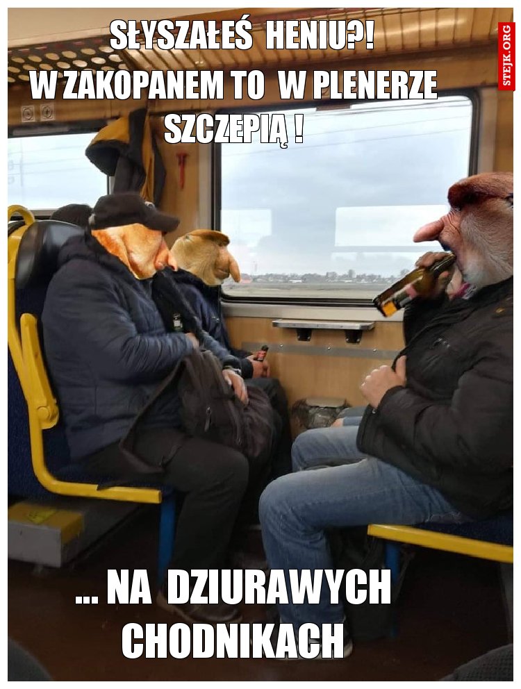SŁYSZAŁEŚ  HENIU?!