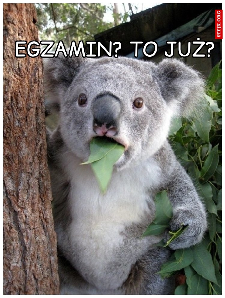 Egzamin? To już? 