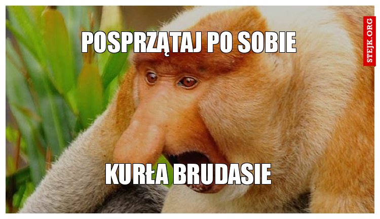 POSPRZĄTAJ PO SOBIE