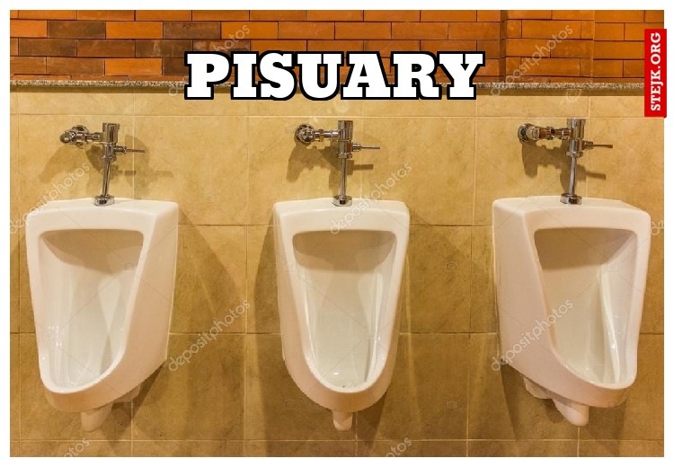 PISUARY
