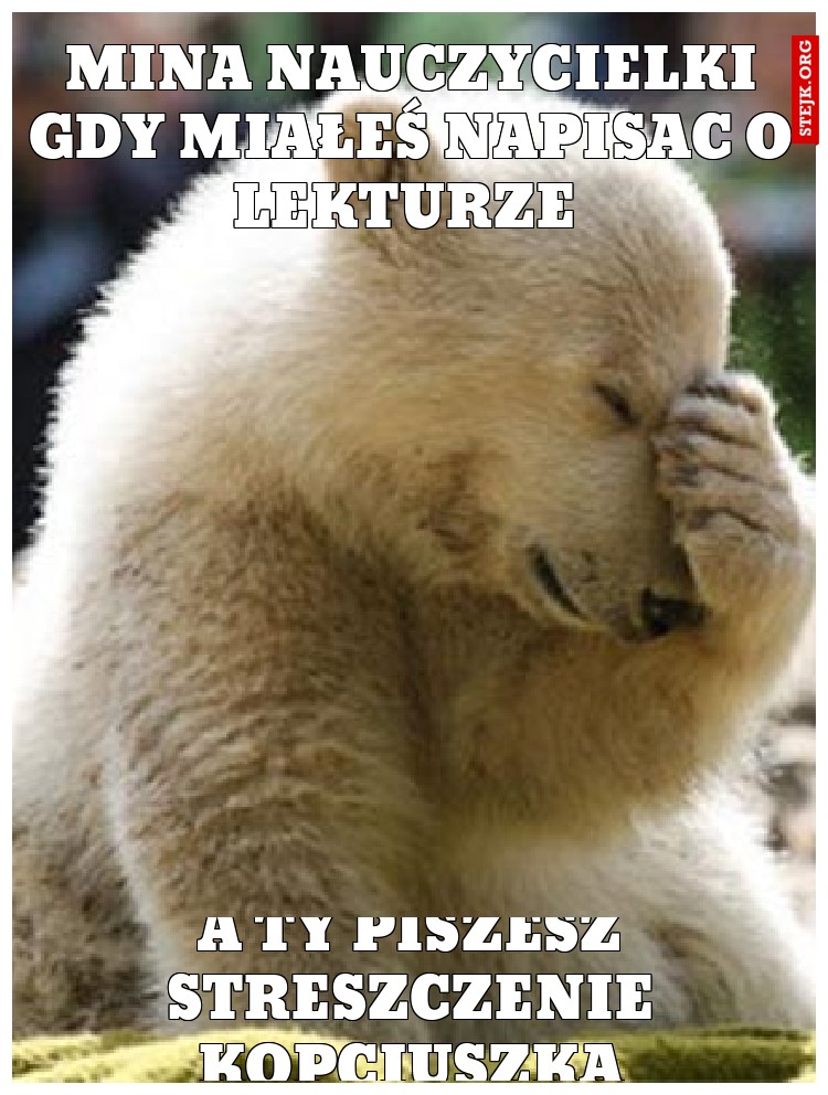 mina nauczycielki gdy miałeś napisac o lekturze 