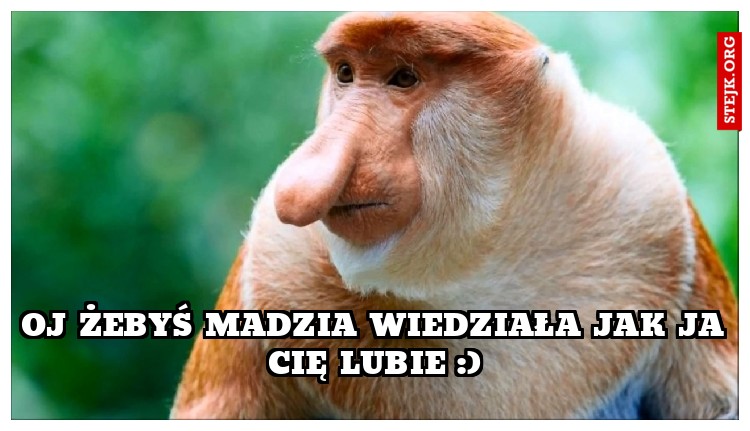 łooojc nie ma