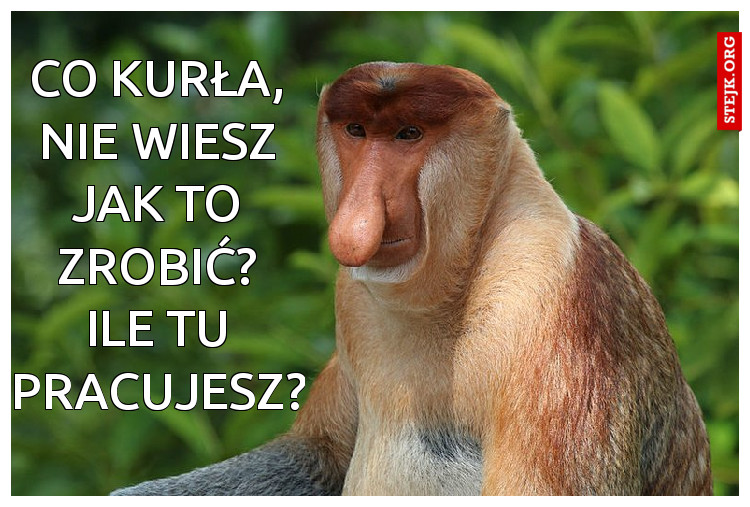Co kurła, nie wiesz jak to zrobić? Ile tu pracujesz?