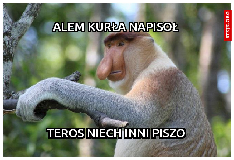 alem kurła napisoł