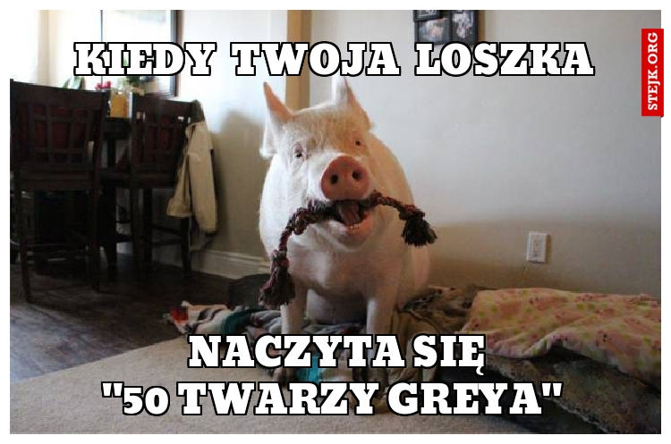 Kiedy Twoja loszka