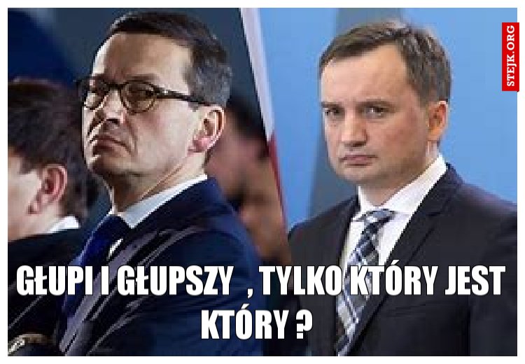 głupi i głupszy  , tylko który jest który ? 