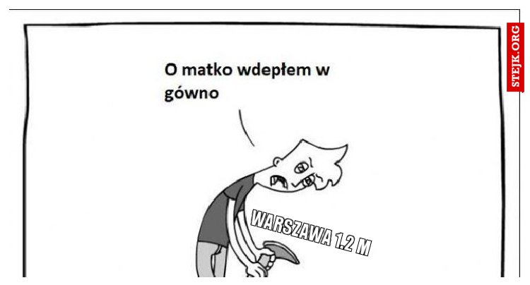 wARSZAWA 1.2 m