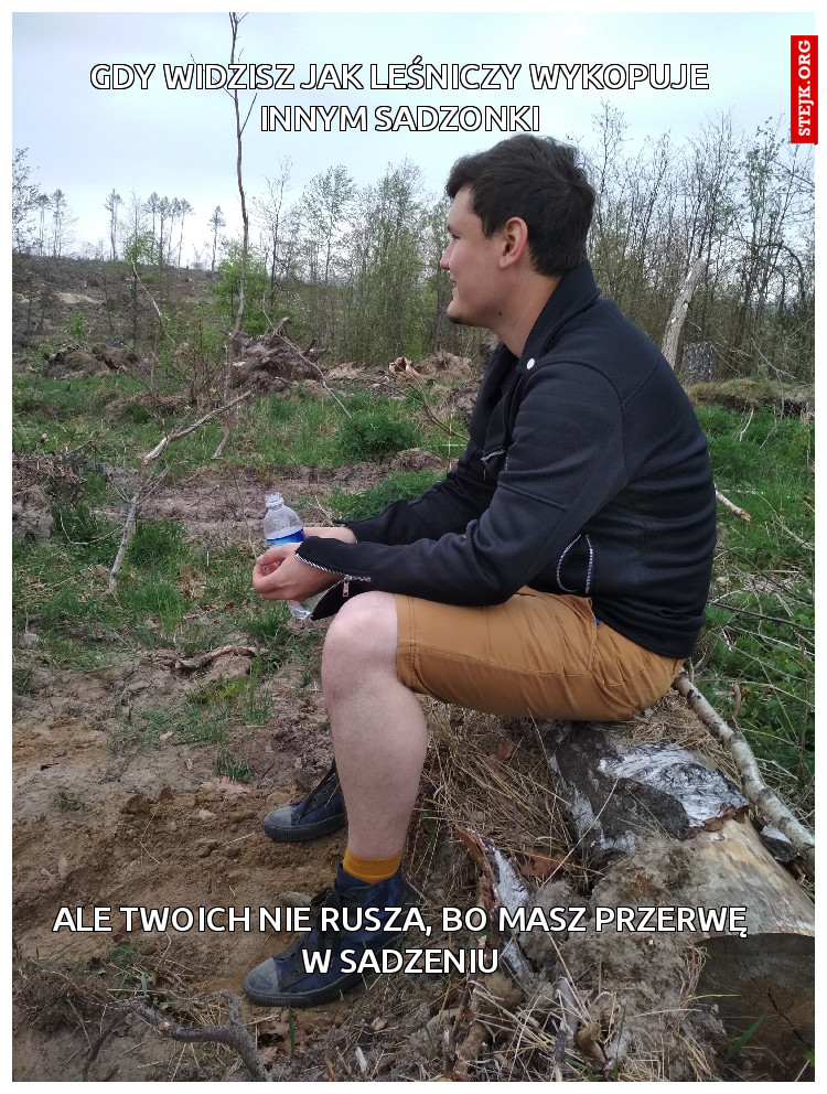 Gdy widzisz jak leśniczy wykopuje innym sadzonki