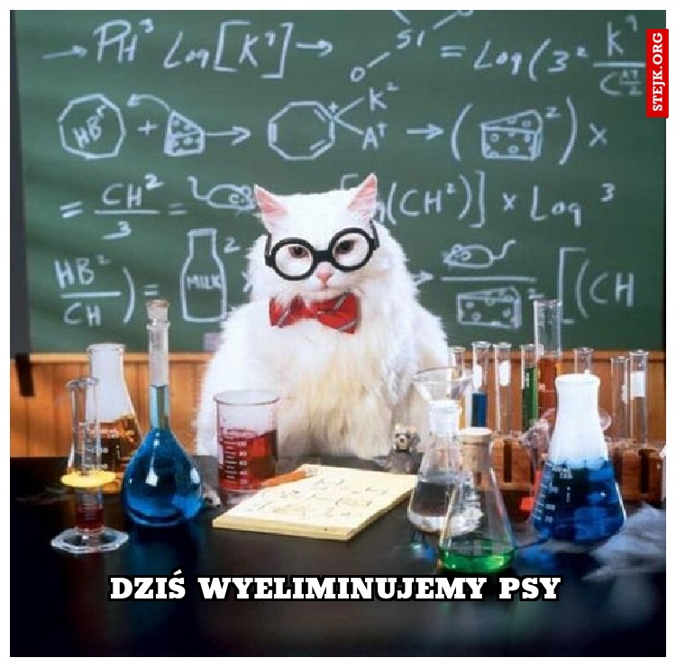 Dziś wyeliminujemy psy