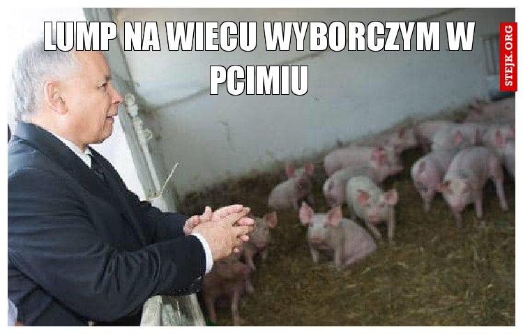 lump na wiecu wyborczym w pcimiu