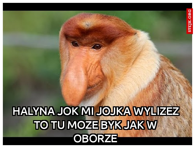 Halyna jok mi jojka wylizez to tu moze byk jak w oborze